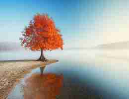 ai写​作‌免‍费‍一﻿键﻿生‌成‍英​语‍作﻿文​